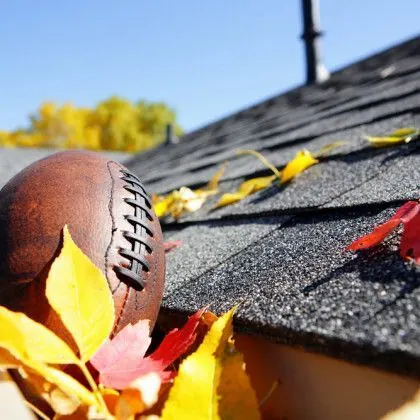 Gutter Cleaning