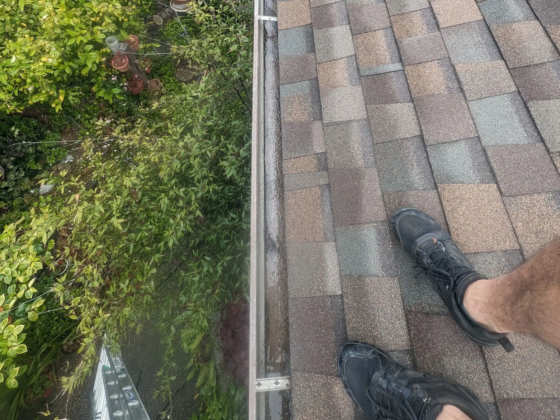Selling Your Home This Summer? 5 Exterior Cleaning Services Every Seller Should Consider - Clear Wave Windows project photo