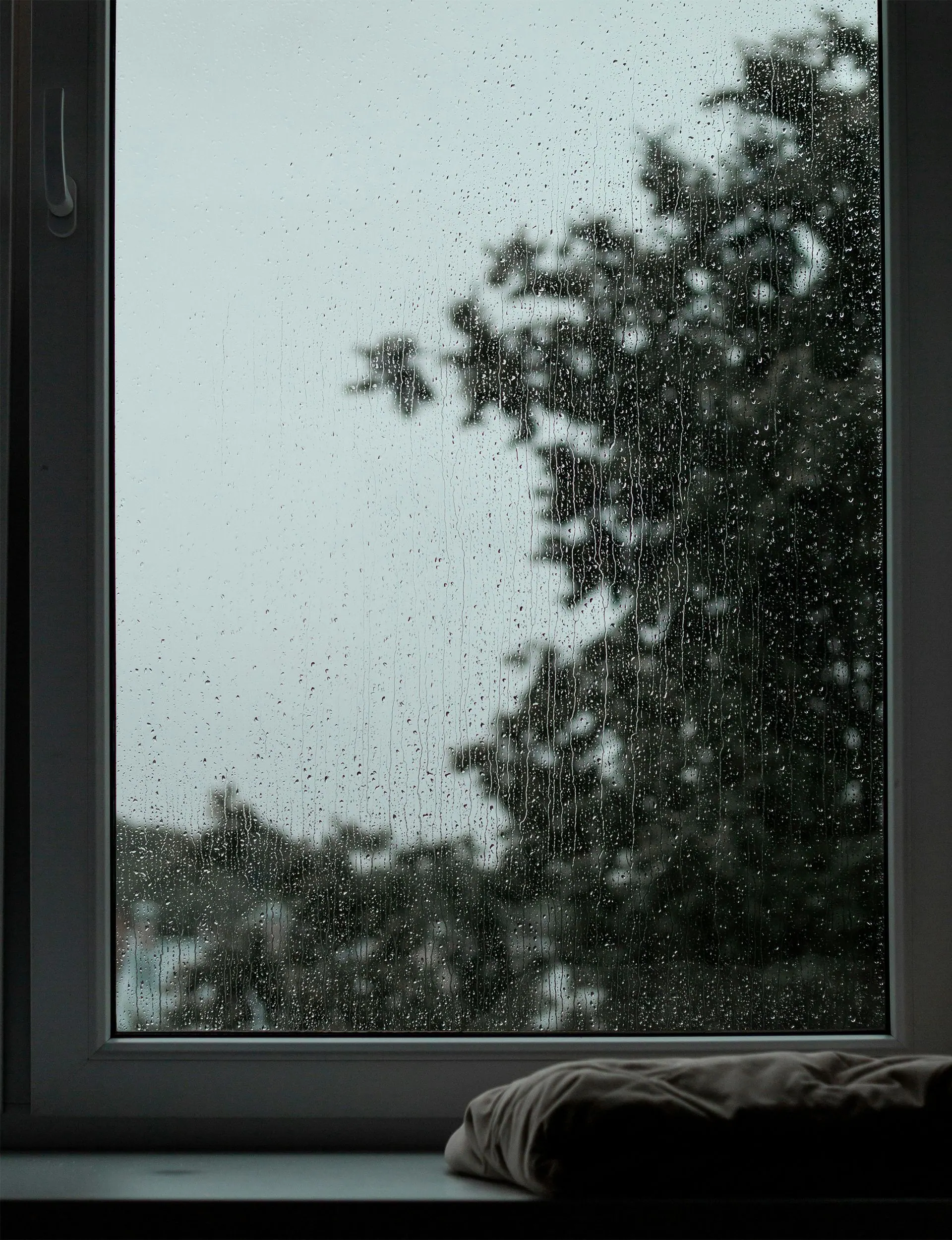 Rainy window view with trees silhouetted outside and a windowsill in the foreground.