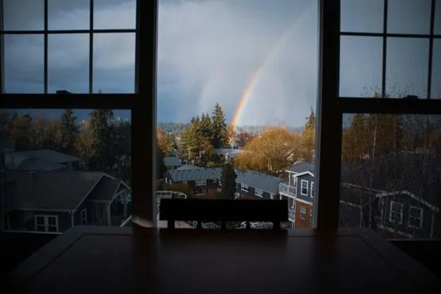 Storm Window Cleaning